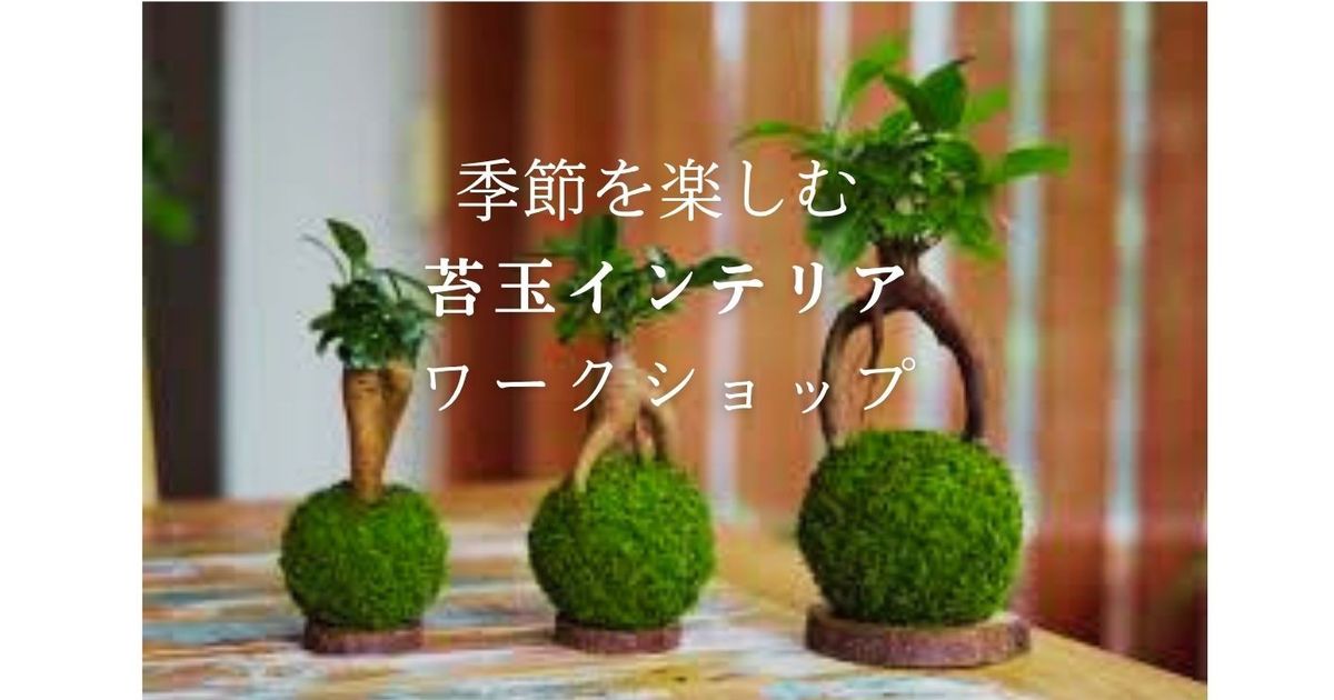 季節を楽しむ♪「苔玉インテリア」の会