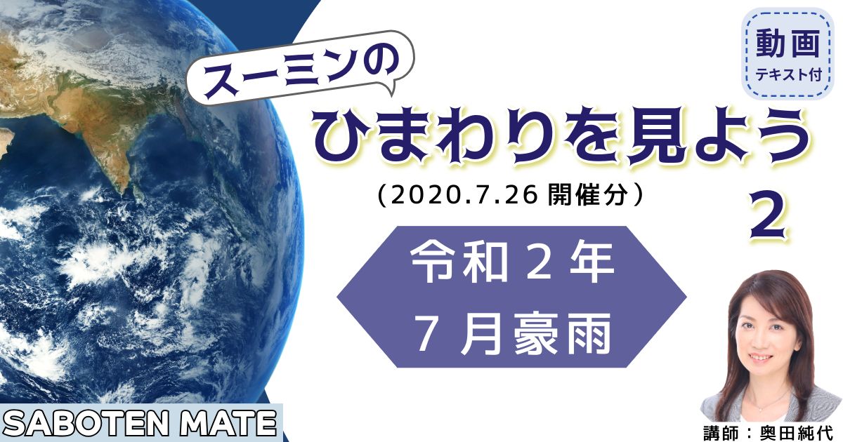 スーミンのひまわりを見よう（２）～令和２年７月豪雨～