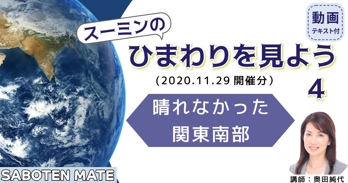 スーミンのひまわりを見よう（４）～晴れなかった関東南部～