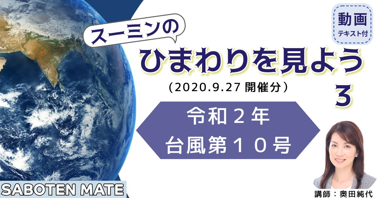 スーミンのひまわりを見よう（３）～令和２年台風第１０号～
