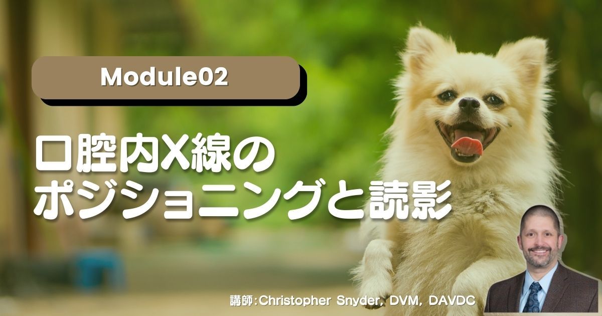 Module02 口腔内X線のポジショニングと読影