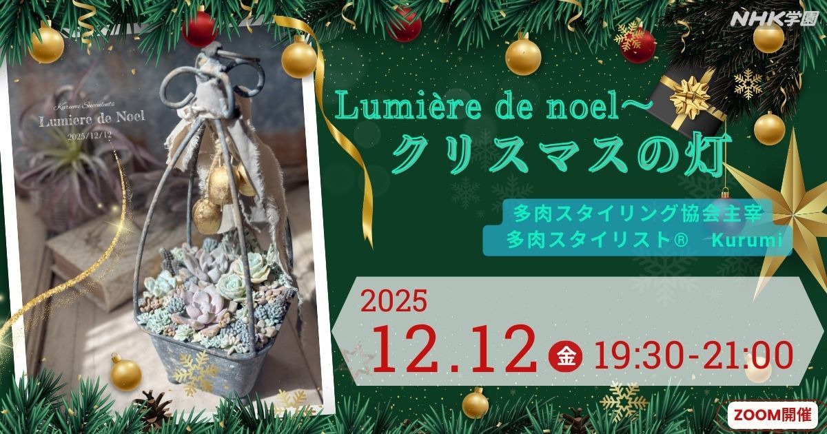 Lumière de noel～クリスマスの灯 