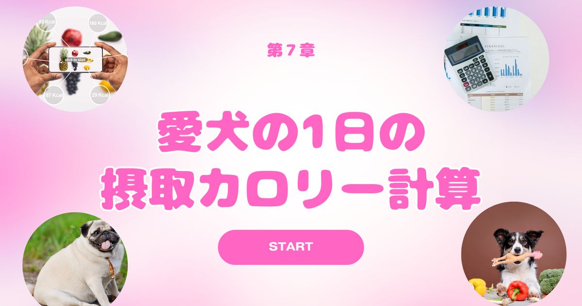 人と犬の健康教室　第７章「愛犬の１日の摂取カロリー計算」