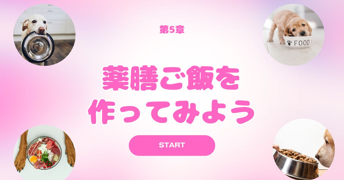 人と犬の健康教室　第５章「薬膳ご飯を作ってみよう」