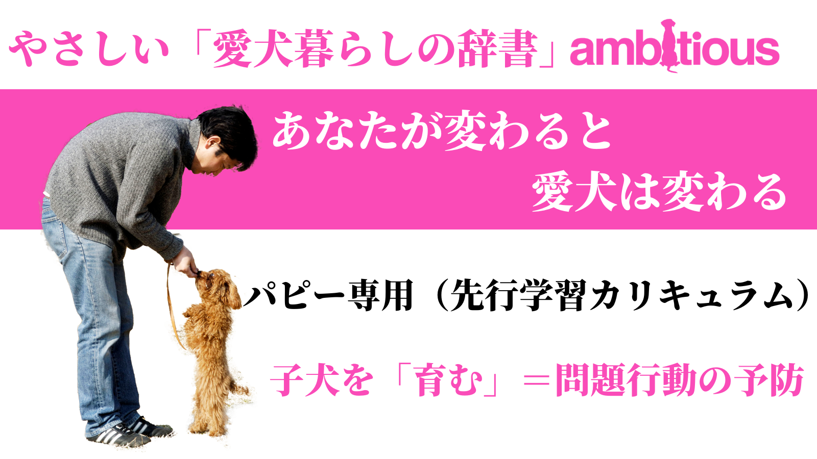 パピー専用（先行学習カリキュラム）