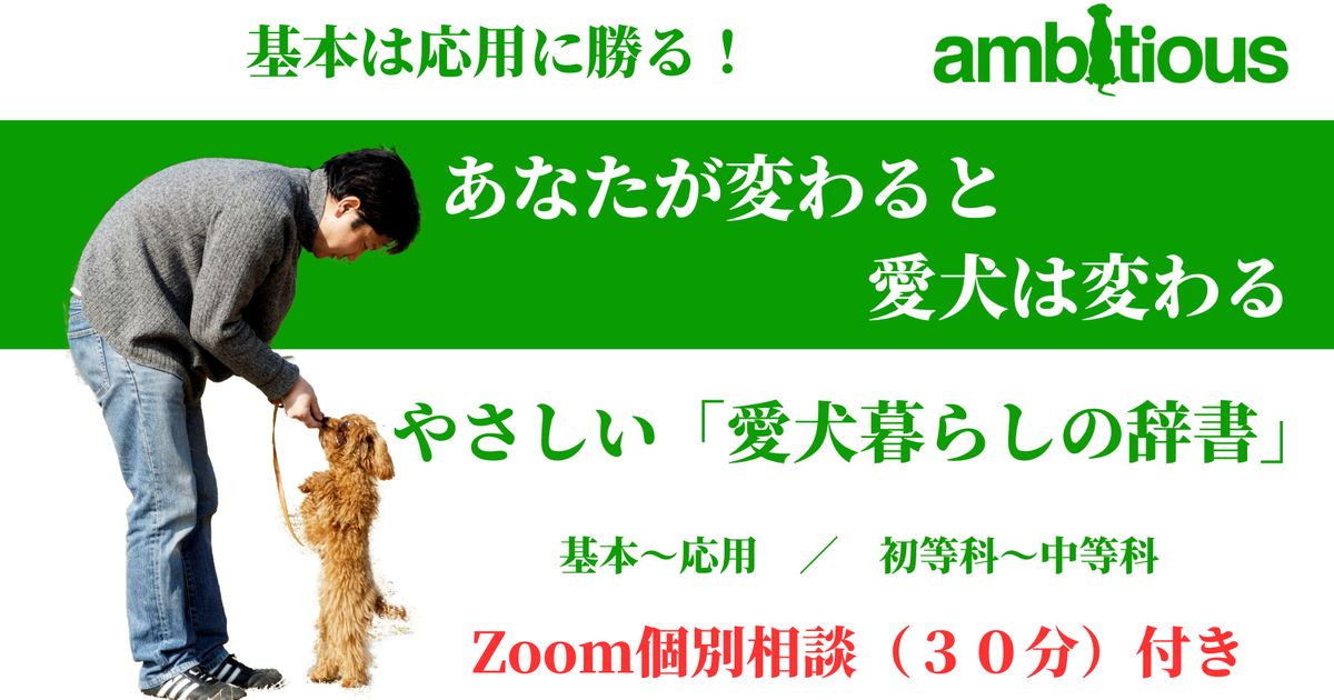 やさしい「愛犬暮らしの辞書」　中級編　＜ZOOM個別相談付き＞