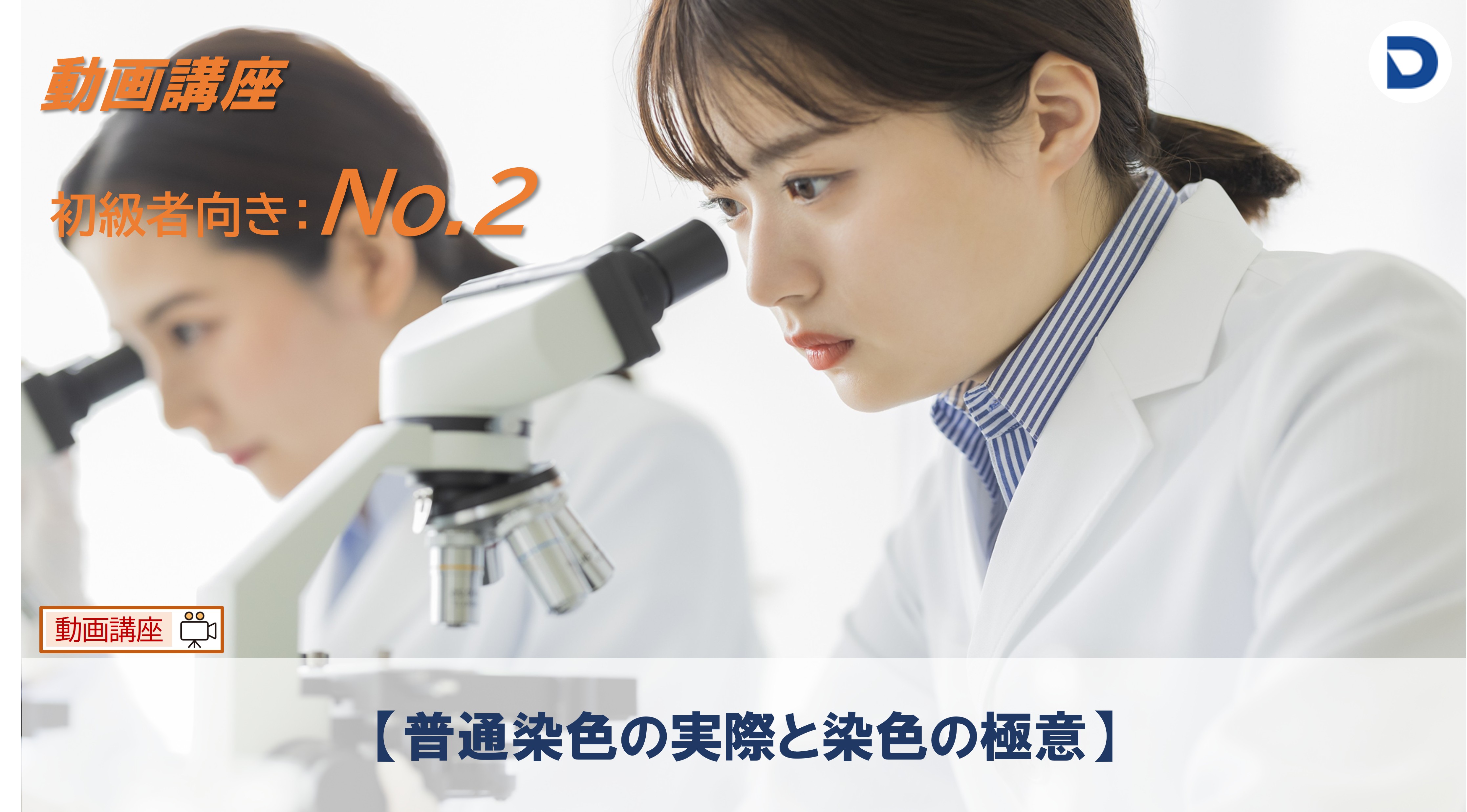 No.2  【普通染色の実際と染色の極意】