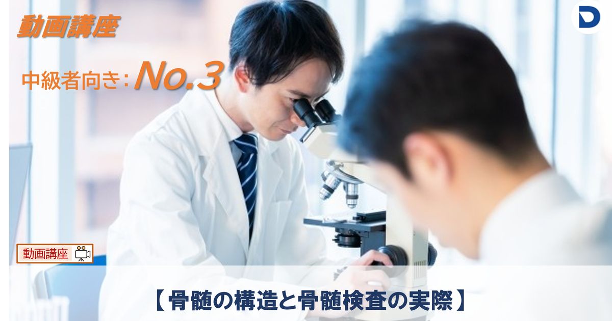 No.3  【骨髄の構造と骨髄検査の実際】