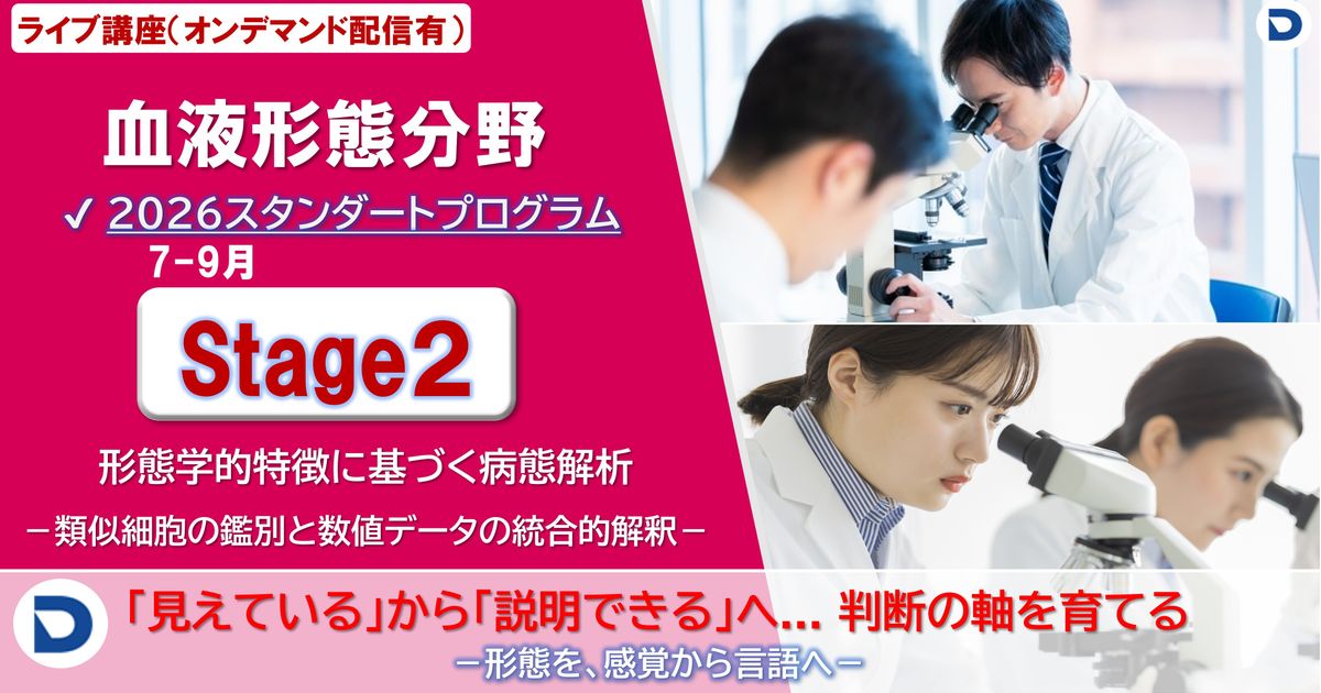 Stage2：形態学的特徴に基づく病態解析