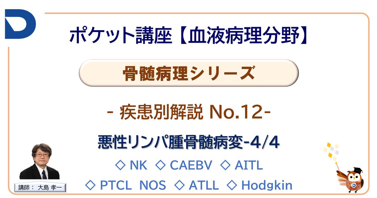骨髄病理シリーズ：疾患別解説No.12「悪性リンパ腫骨髄病変4/4」