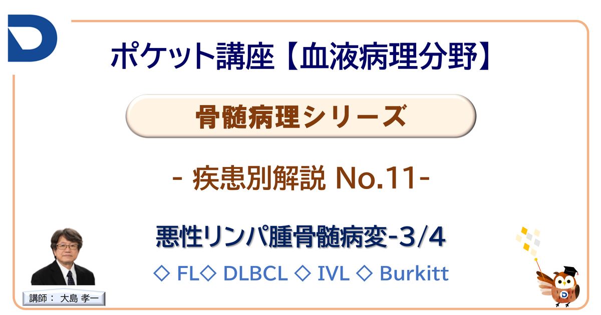 骨髄病理シリーズ：疾患別解説No.11「悪性リンパ腫骨髄病変3/4」