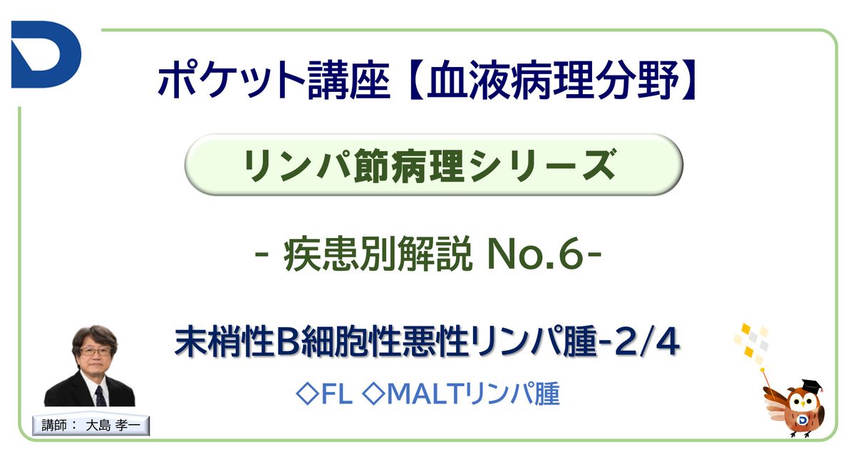 リンパ節病理シリーズ：疾患別解説No.6「末梢性B細胞性悪性リンパ腫-2/4」