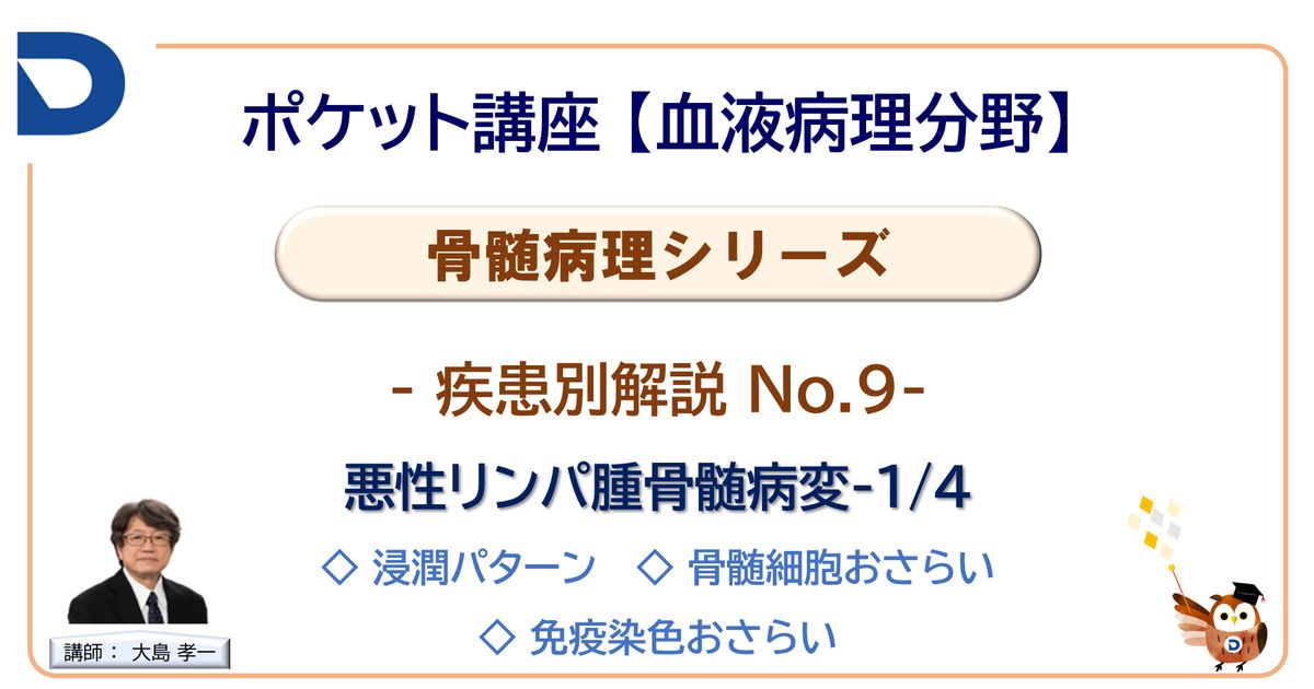骨髄病理シリーズ：疾患別解説No.9「悪性リンパ腫骨髄病変1/4」