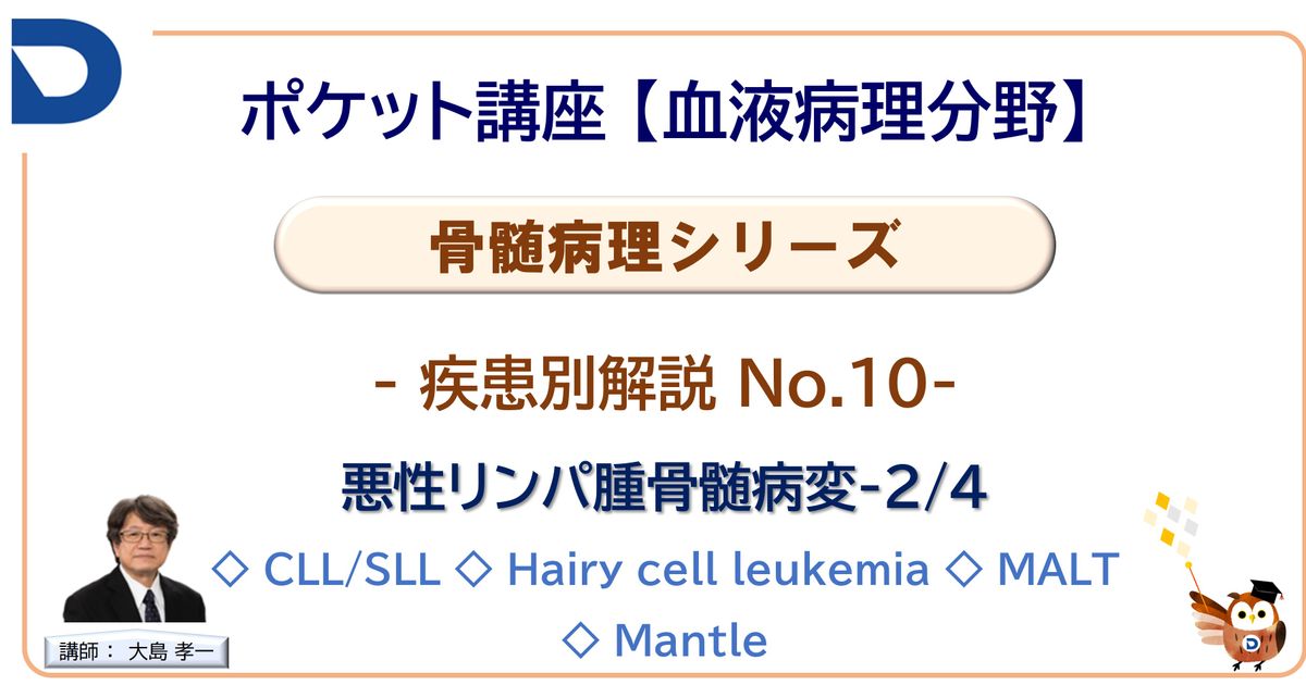 骨髄病理シリーズ：疾患別解説No.10「悪性リンパ腫骨髄病変-2/4」