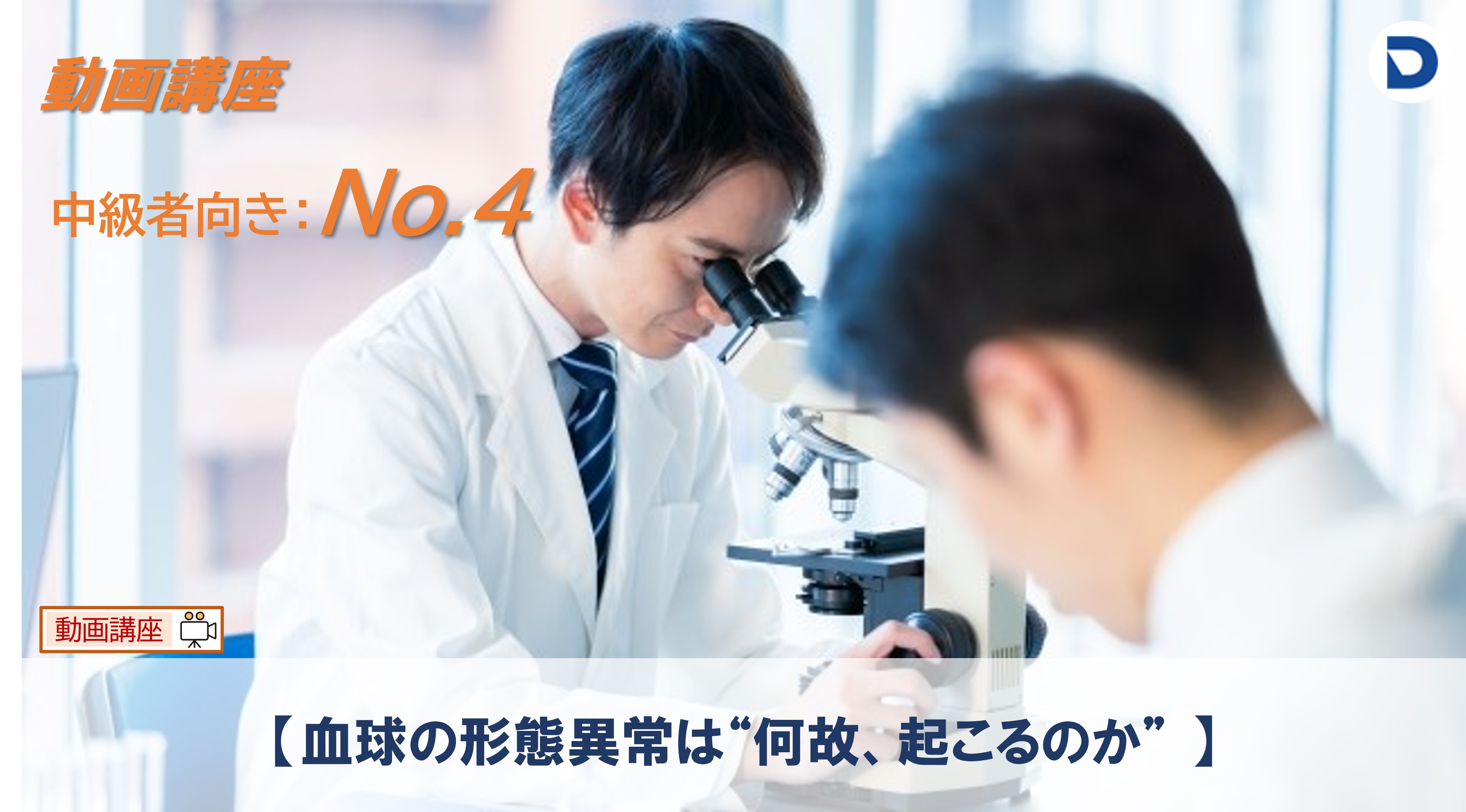 No.4  【血球の形態異常は“何故、起こるのか”】