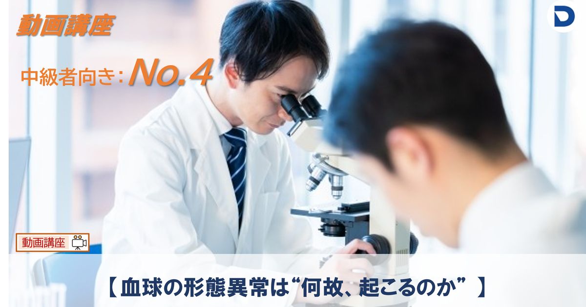 No.4  【血球の形態異常は“何故、起こるのか”】