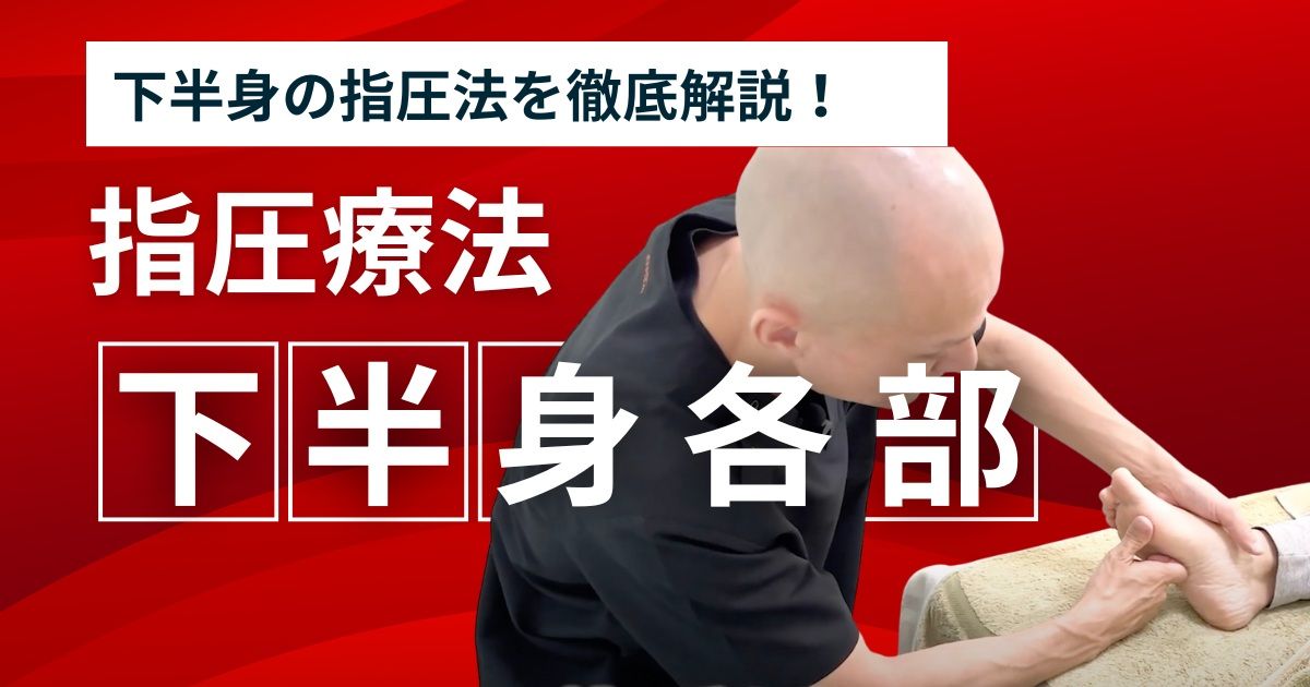 指圧療法  3) 身体各部の指圧法【下半身】